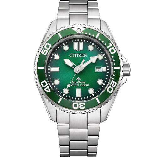 CITIZEN Promaster Eco-Drive Diver Stainless Steel Bracelet