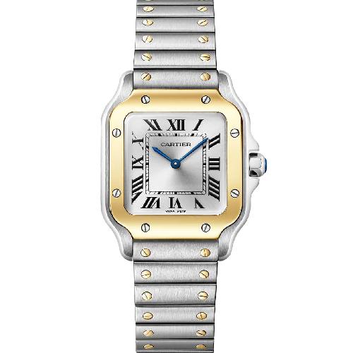 Santos de Cartier watch Small