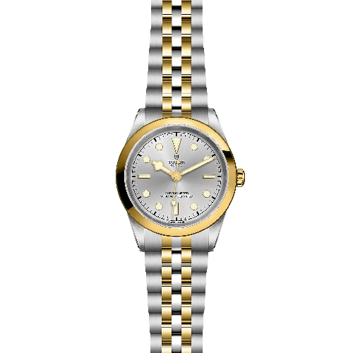 TUDOR Black Bay One 41 mm Silver and Gold Bracelet