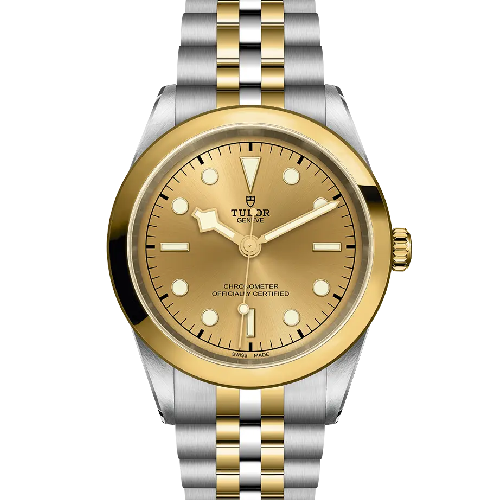 TUDOR Black Bay One 41 mm Silver and Gold Bracelet